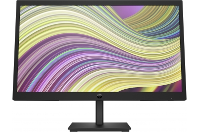 HP P22v G5 FHD Monitor