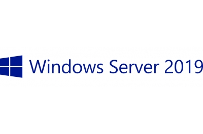 Hewlett Packard Enterprise Microsoft Windows Server 2019 Client Access License (CAL) License Multilingual