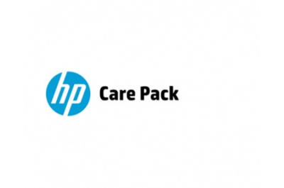 Hewlett Packard Enterprise U0TA0E IT support service