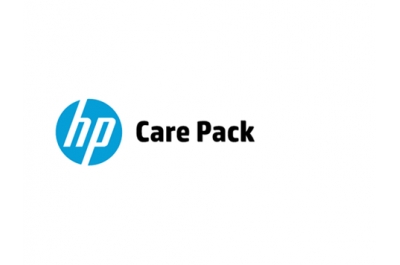 Hewlett Packard Enterprise U4BA3E IT support service